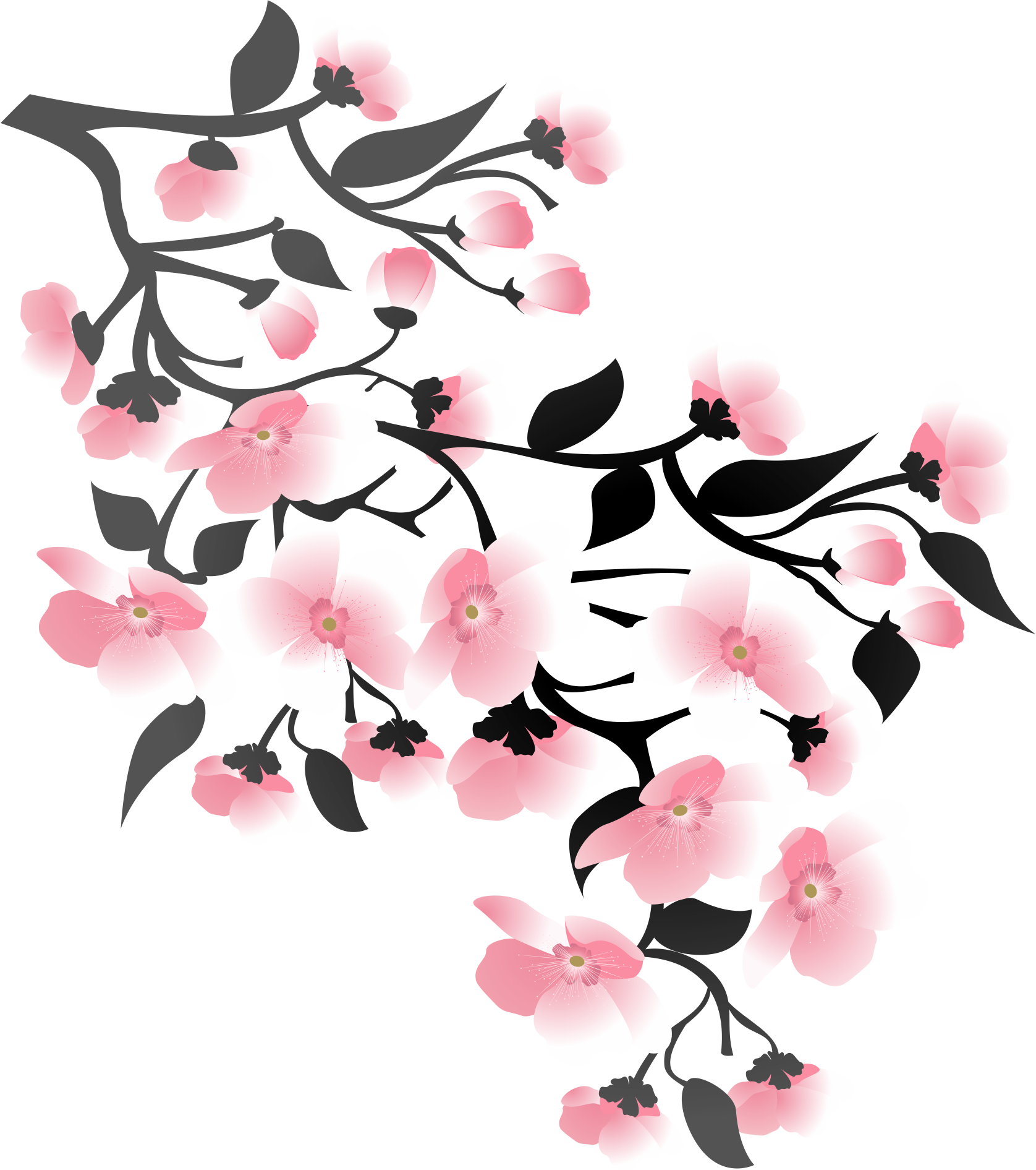 Cherry Blossom